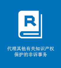 代理其他有关知识产权保护的非诉事务