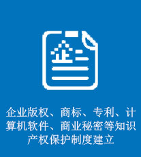 企业版权、商标、专利、计算机软件、商业秘密等知识产权保护制度建立