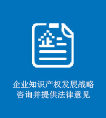 企业知识产权发展战略咨询并提供法律意见